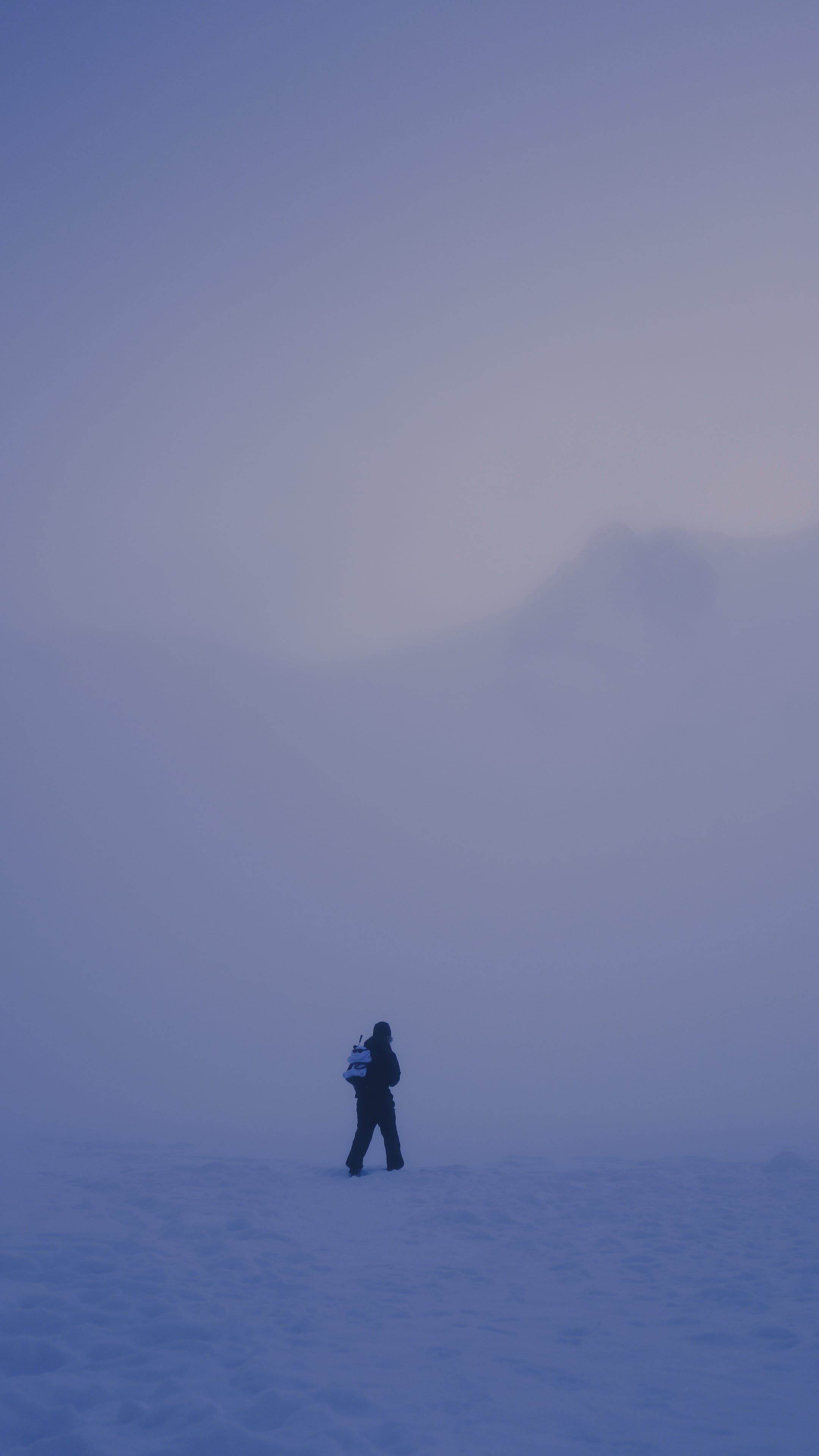 Wildlife encounter in BC forest