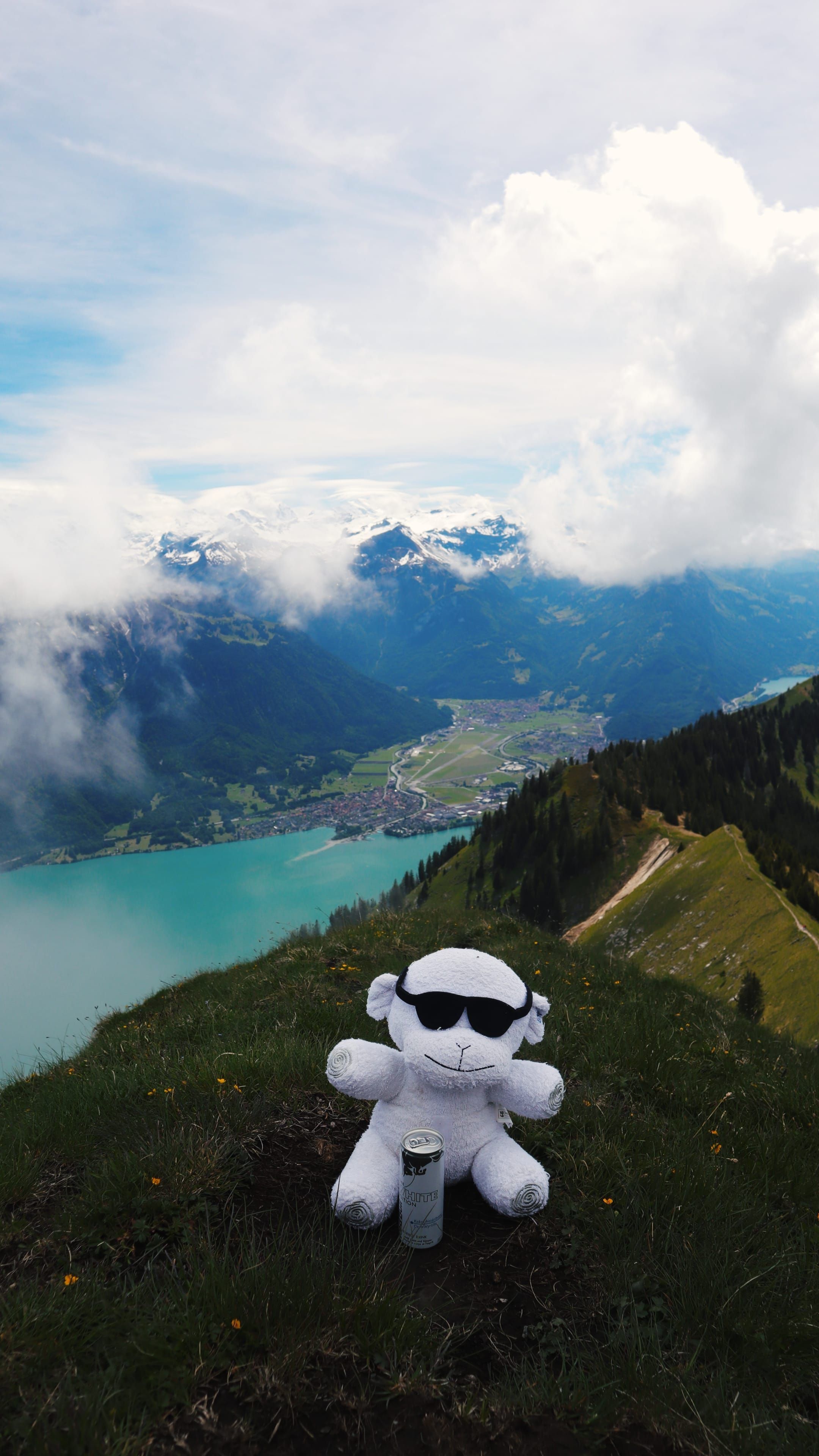 Swiss mountain trail