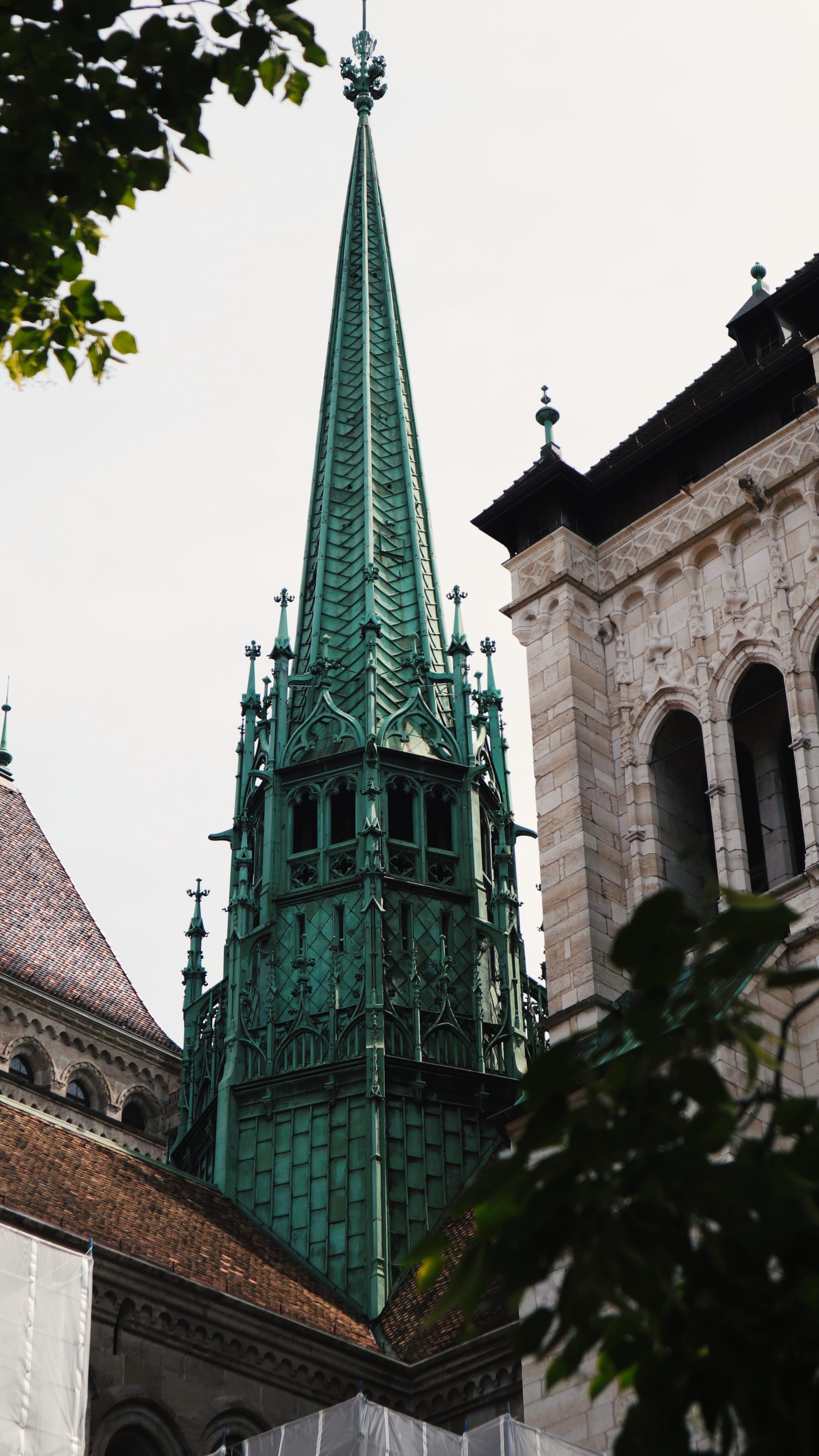 Swiss mountain meadow